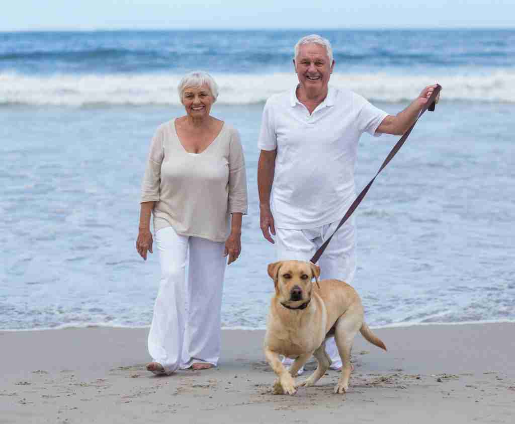 Pet-friendly holiday home ownership in Lancashire